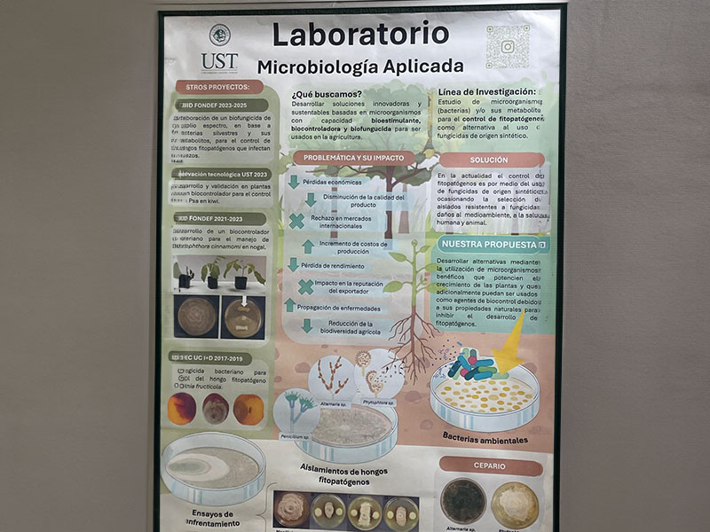 ust_0000_crear-pared-hacia-los-lados.jpg